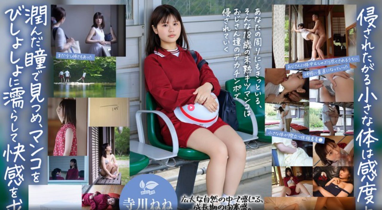您正在观看《《肉蒲团》メイリン モデルコメイリン モ...